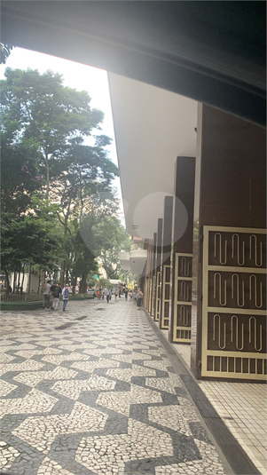 Foto REO1087512