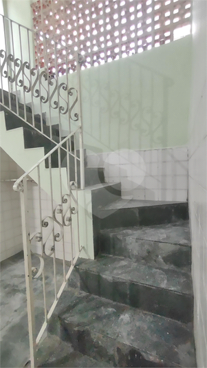 Foto REO1087516