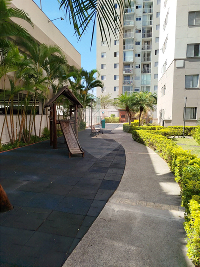 Foto REO1087524
