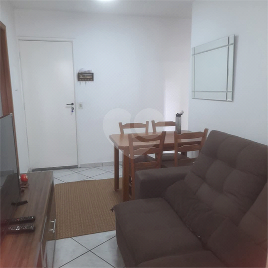 Foto REO1087534