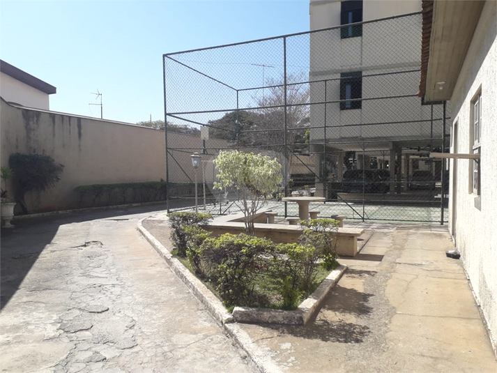 Foto REO1087535