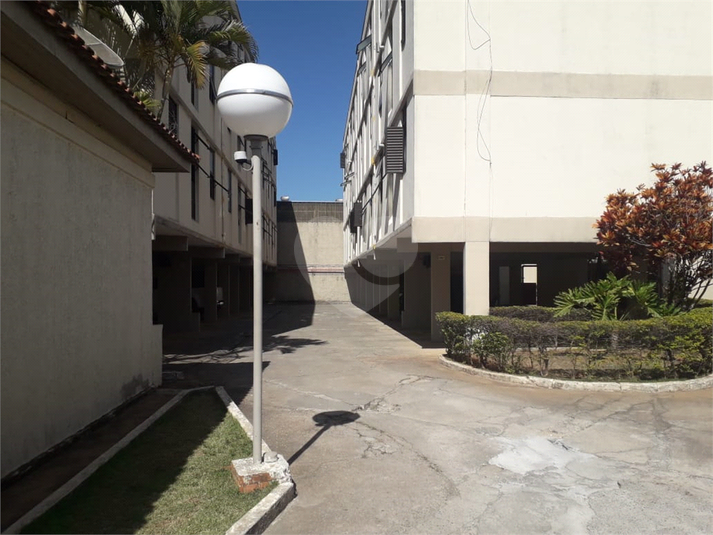 Foto REO1087535