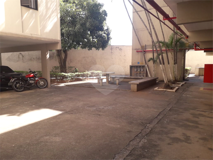 Foto REO1087535