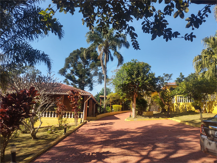 Foto REO1087544