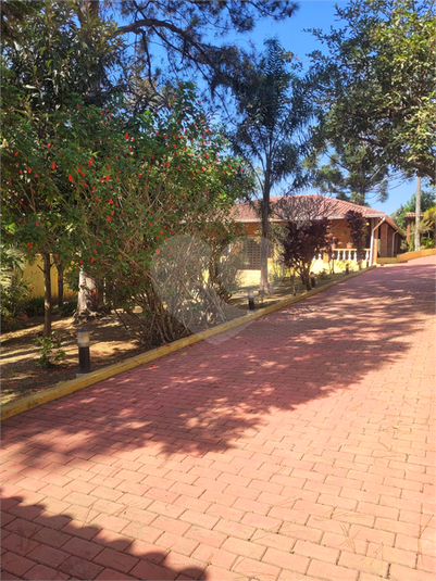 Foto REO1087544