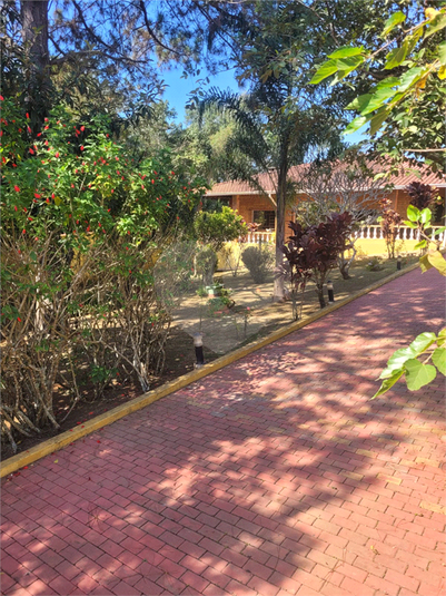 Foto REO1087544