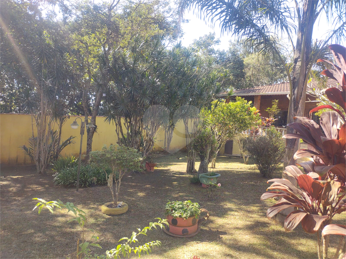 Foto REO1087544