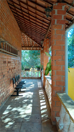 Foto REO1087544