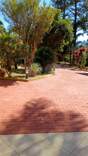 Foto REO1087544