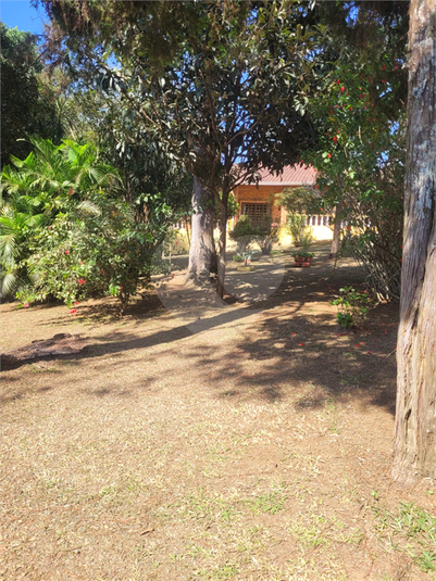 Foto REO1087544