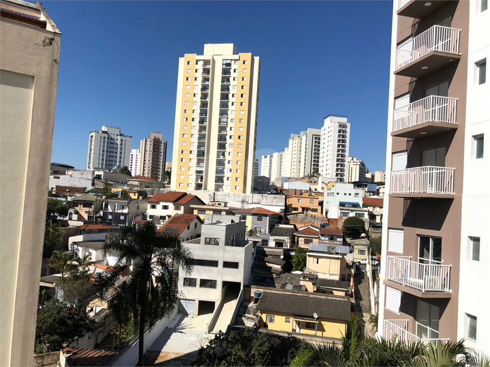 Foto REO1087565