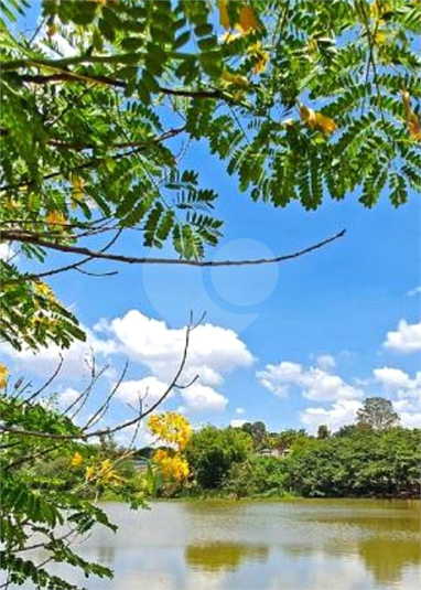 Foto REO1087566