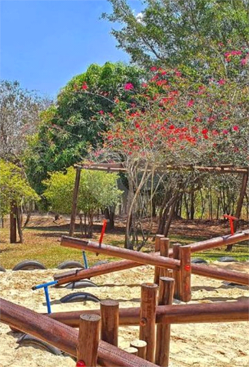 Foto REO1087566