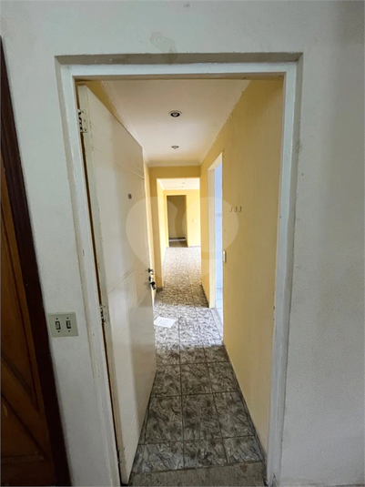 Foto REO1087567