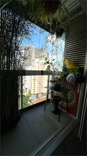 Foto REO1087571