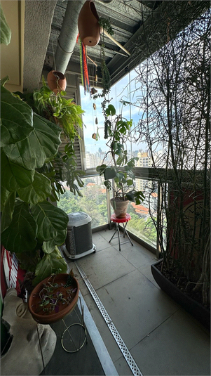 Foto REO1087571