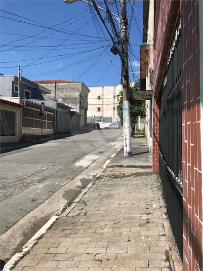 Foto REO1087574
