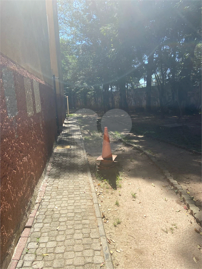 Foto REO1087587