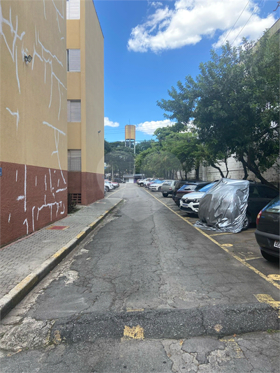 Foto REO1087587