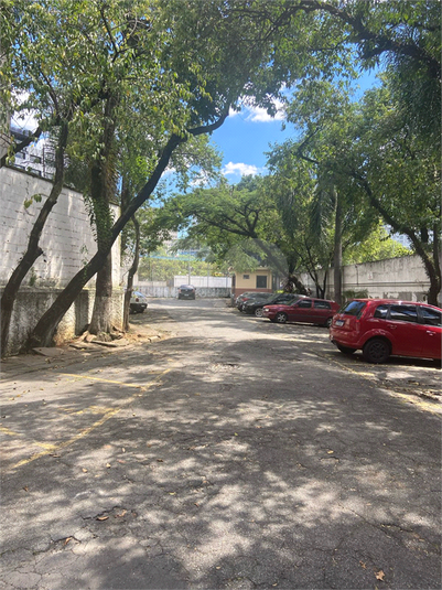 Foto REO1087587