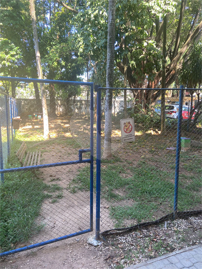 Foto REO1087587