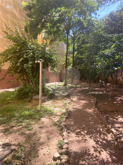 Foto REO1087587