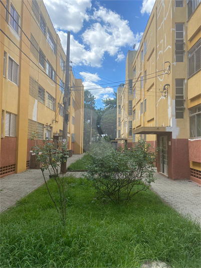 Foto REO1087587