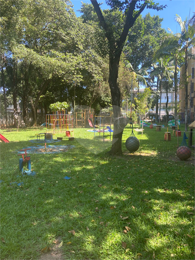 Foto REO1087587