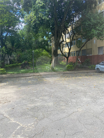 Foto REO1087587