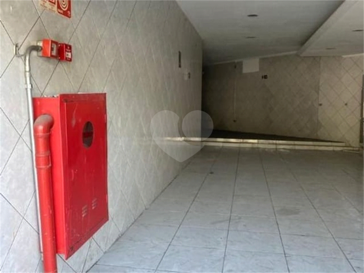 Foto REO1087603