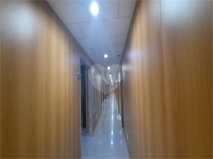 Foto REO1087604