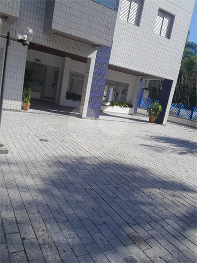 Foto REO1087610