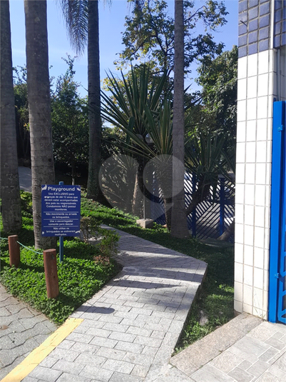 Foto REO1087610