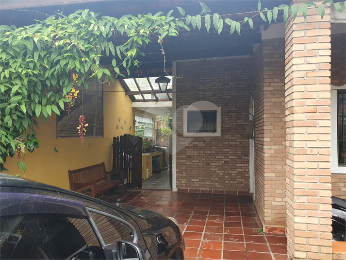 Foto REO1087615