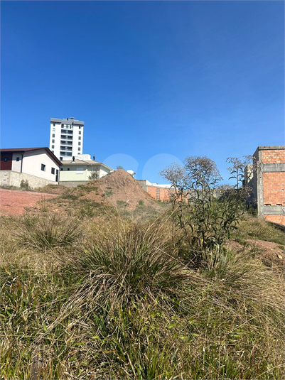 Foto REO1087616