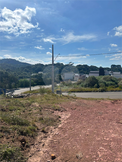 Foto REO1087616