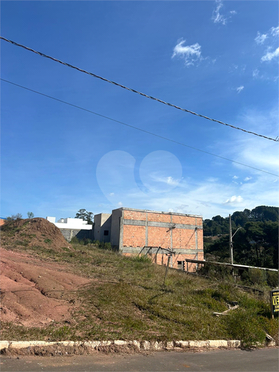 Foto REO1087616