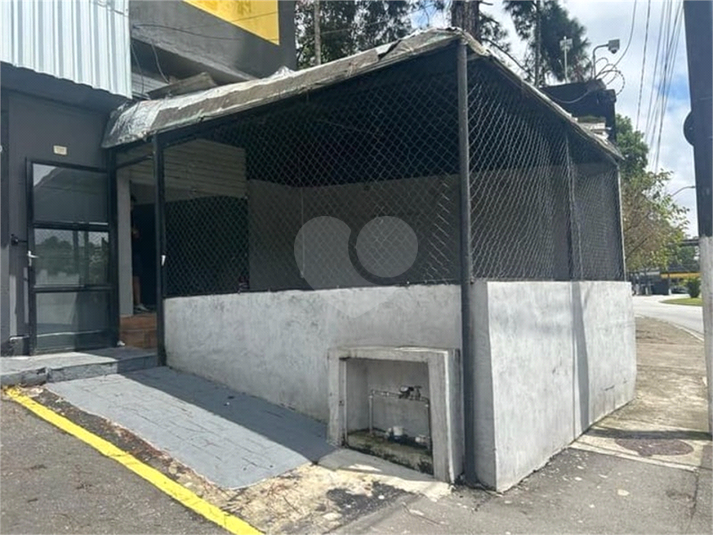 Foto REO1087620
