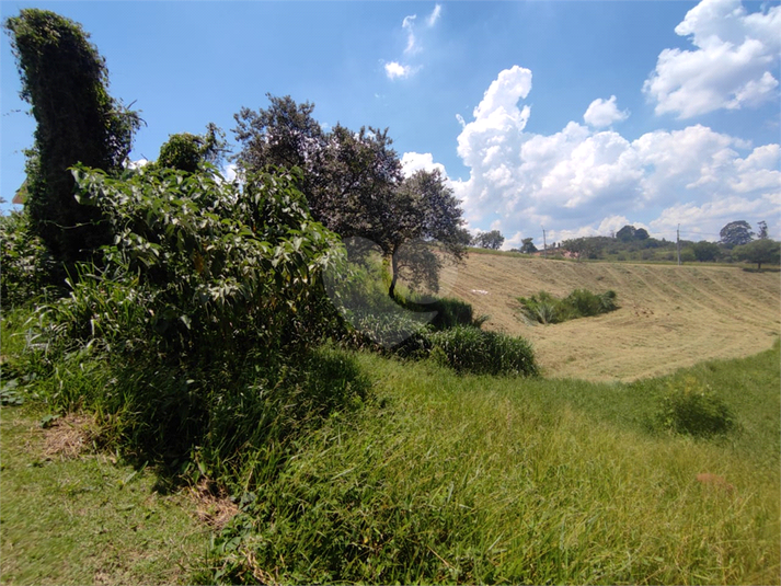 Foto REO1087633