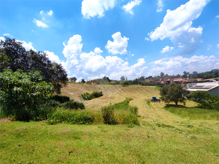 Foto REO1087633