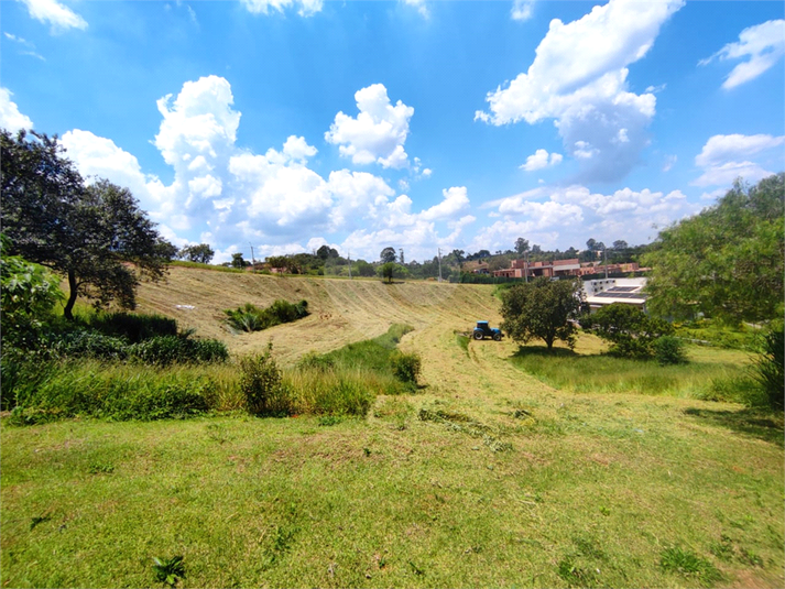 Foto REO1087633
