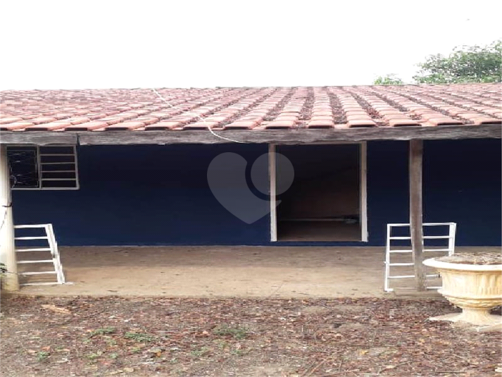 Foto REO1087635