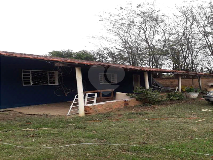 Foto REO1087635
