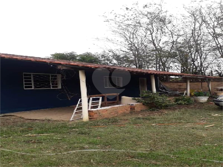 Foto REO1087635