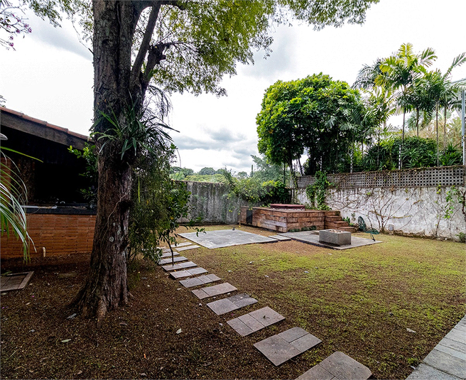 Foto REO1087640