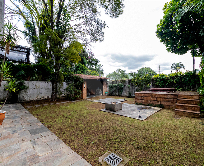 Foto REO1087640