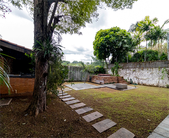 Foto REO1087640