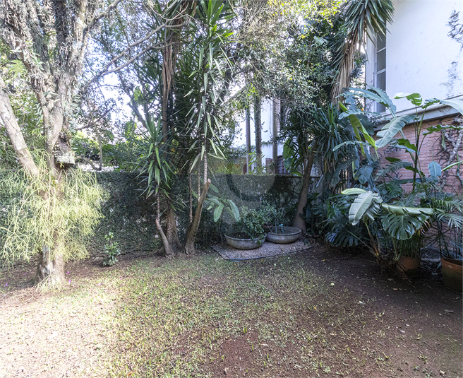 Foto REO1087640