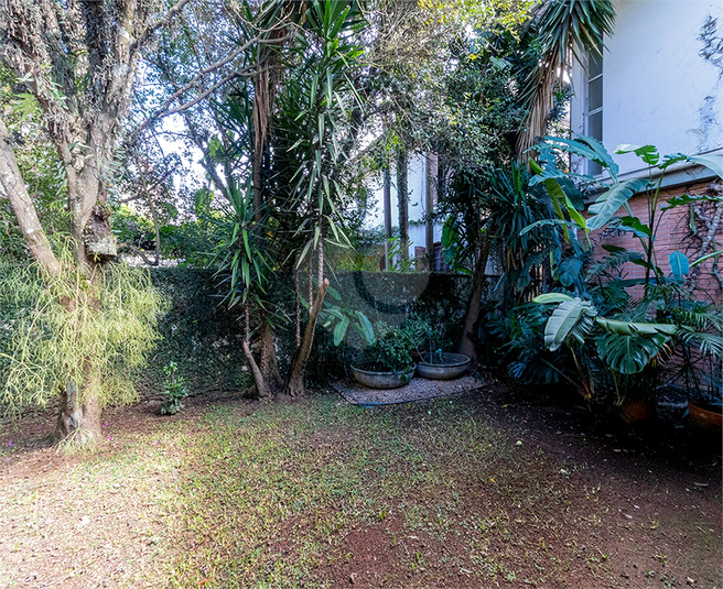Foto REO1087640