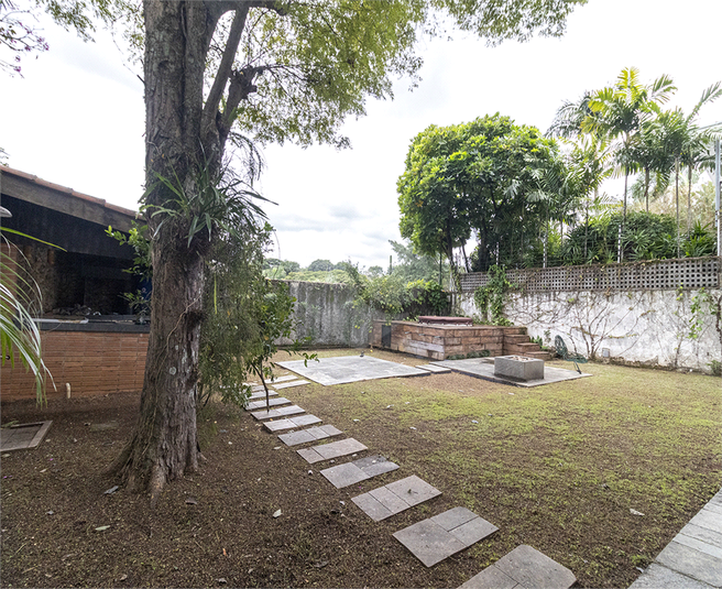 Foto REO1087640